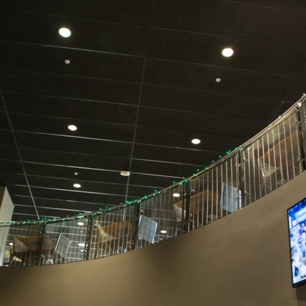 餐廳樓梯欄杆系統的鉑格建築網格