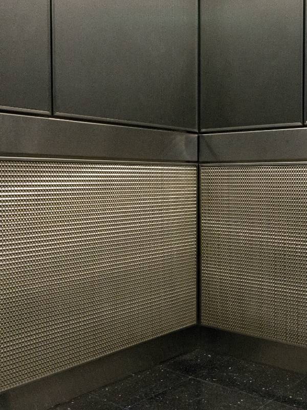 政府大樓裝飾有Argger裝飾網狀電梯駕駛室