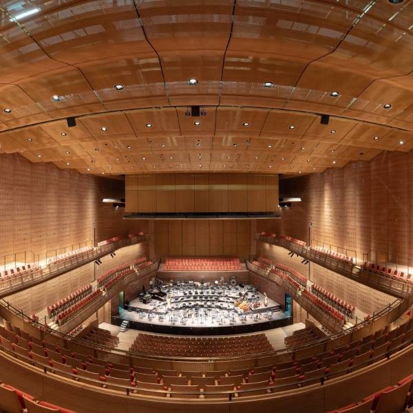 Decorative mesh for concert hall wall covering